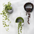 Artificial Vine Nestasia