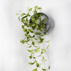 Artificial Vine Nestasia
