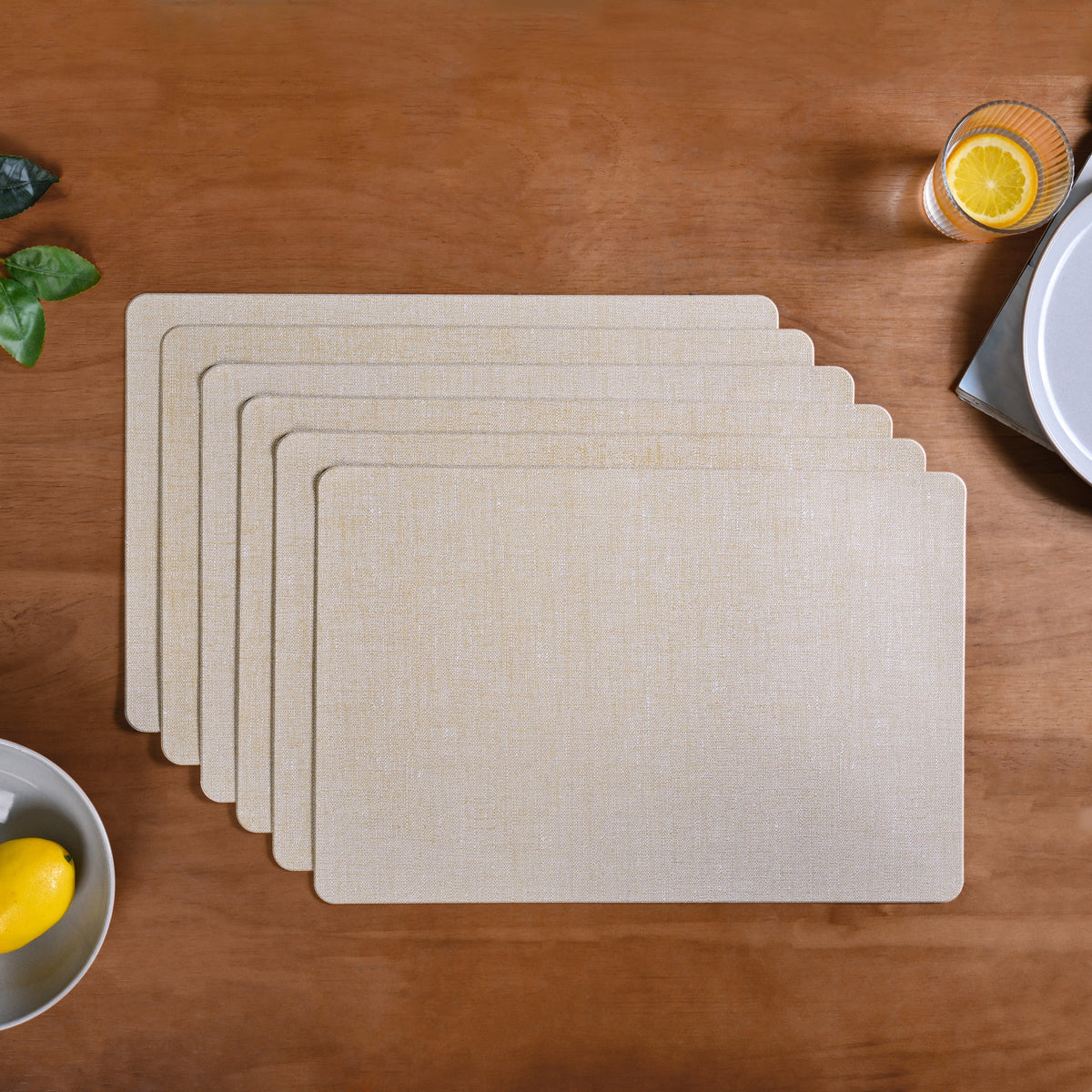 Rectangular Beige Dining Table Mat Set Of 6 Nestasia