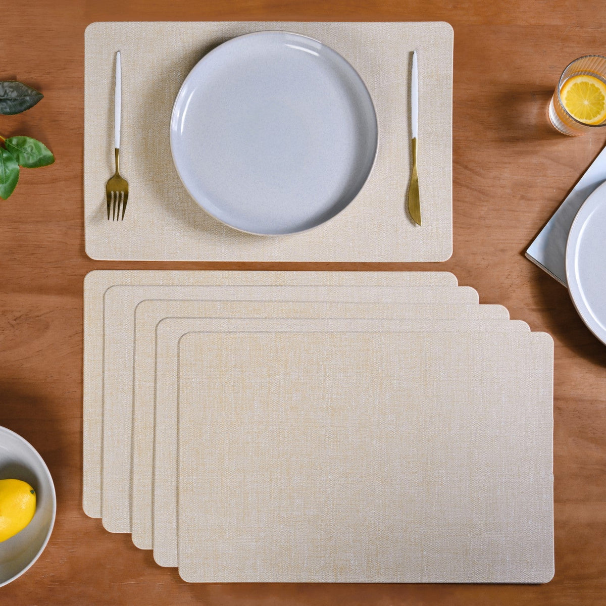 Rectangular Beige Dining Table Mat Set Of 6 Nestasia