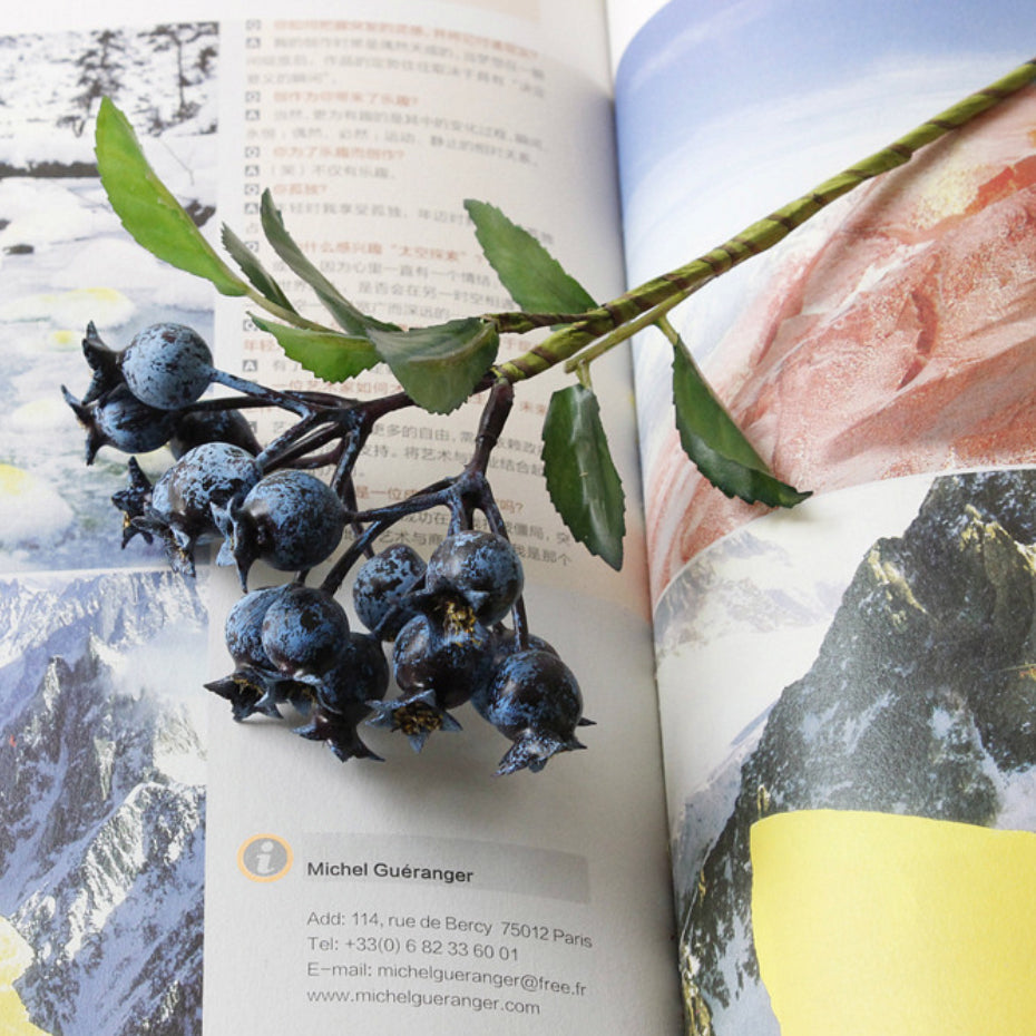 Berry Stem Nestasia