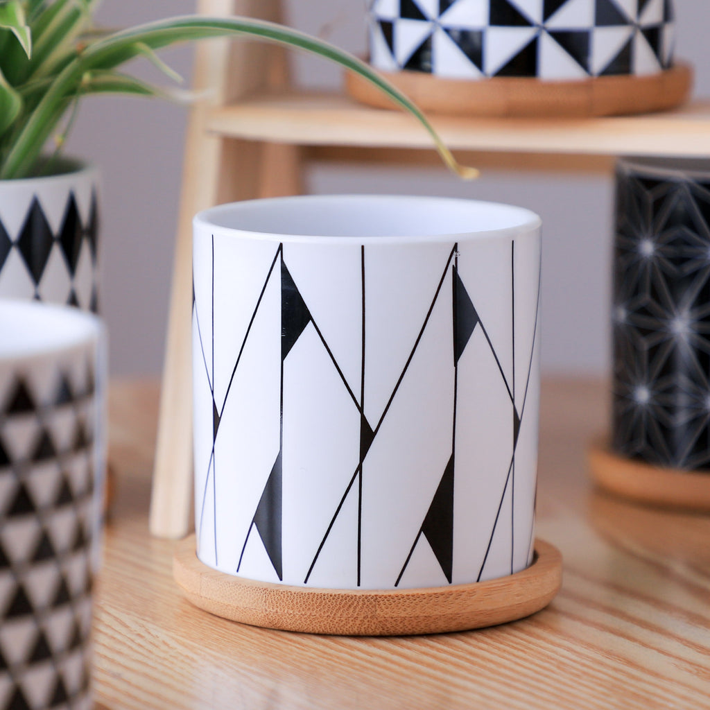 Ebony & Ivory Ceramic Planter With Coaster Set Of 8 Nestasia