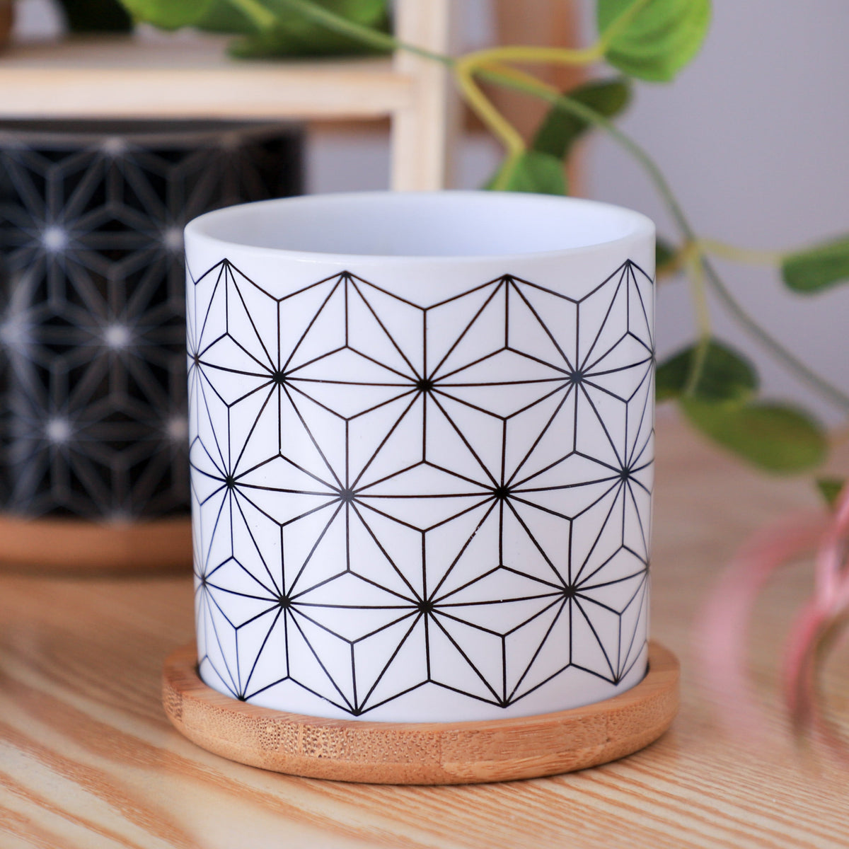 Ebony & Ivory Ceramic Planter With Coaster Set Of 8 Nestasia