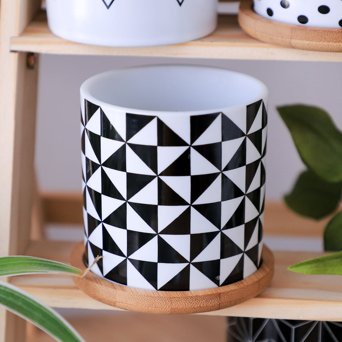 Ebony & Ivory Ceramic Planter With Coaster Set Of 8 Nestasia