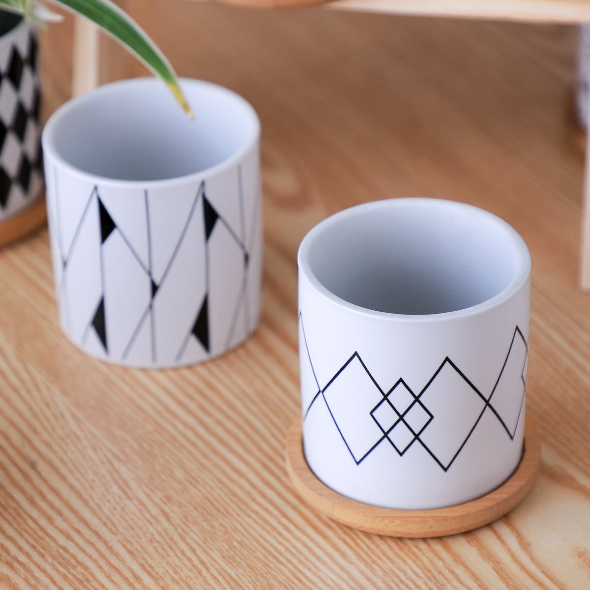 Ebony & Ivory Ceramic Planter With Coaster Set Of 8 Nestasia