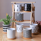 Ebony & Ivory Ceramic Planter With Coaster Set Of 8 Nestasia