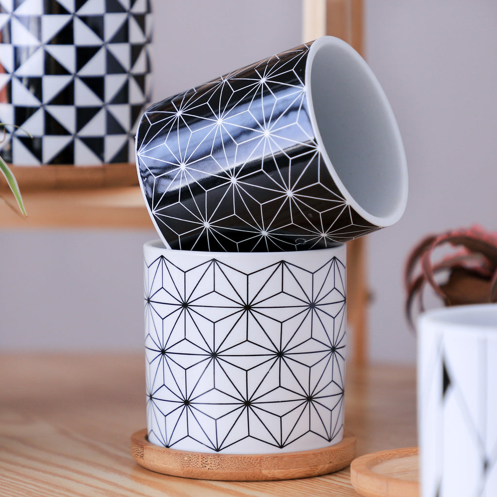 Ebony & Ivory Ceramic Planter With Coaster Set Of 8 Nestasia