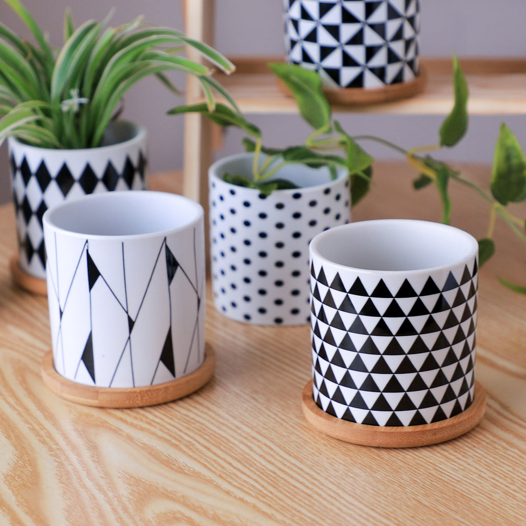 Ebony & Ivory Ceramic Planter With Coaster Set Of 8 Nestasia