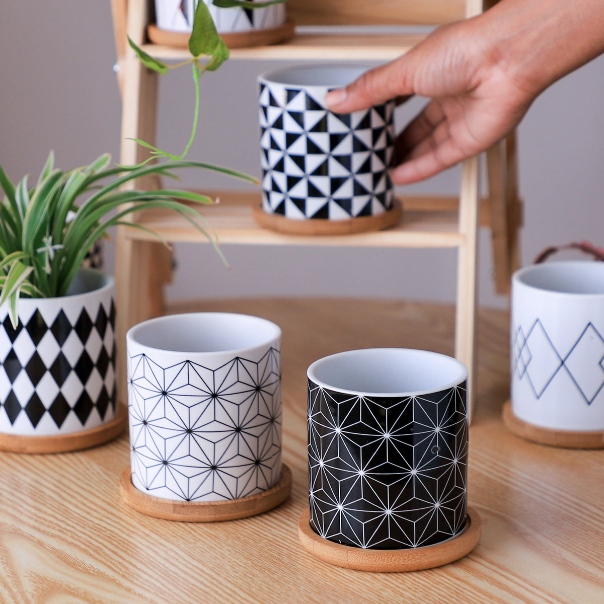 Ebony & Ivory Ceramic Planter With Coaster Set Of 8 Nestasia