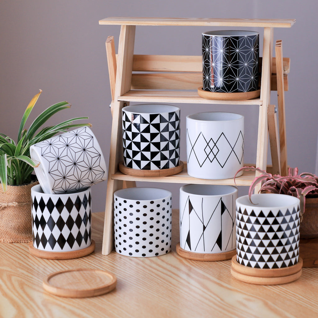 Ebony & Ivory Ceramic Planter With Coaster Set Of 8 Nestasia