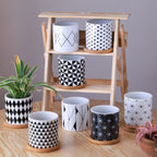 Ebony & Ivory Ceramic Planter With Coaster Set Of 8 Nestasia