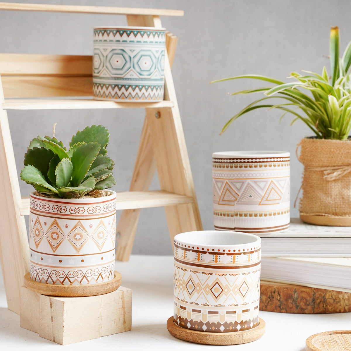 Bohemian Planter Nestasia