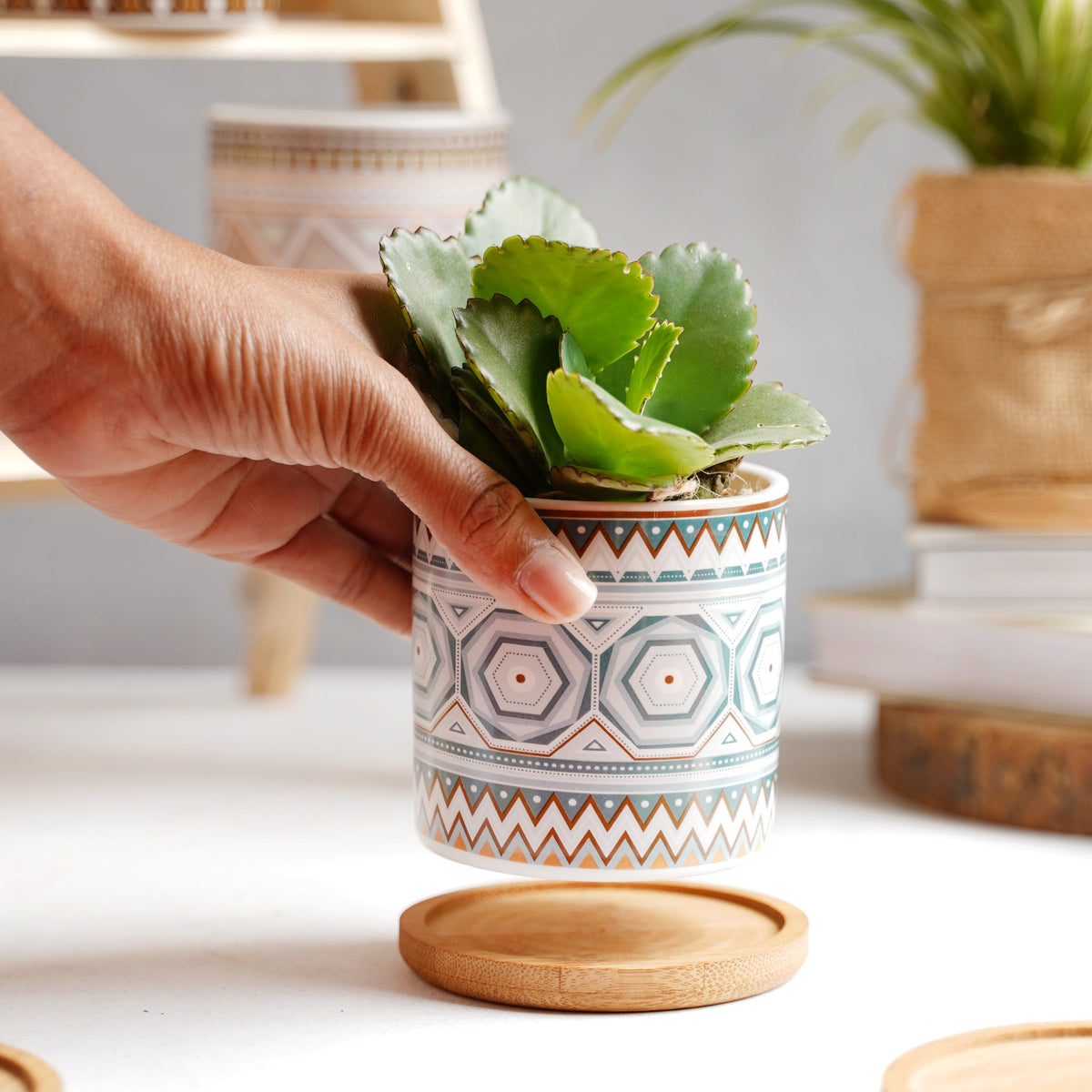 Bohemian Planter Nestasia