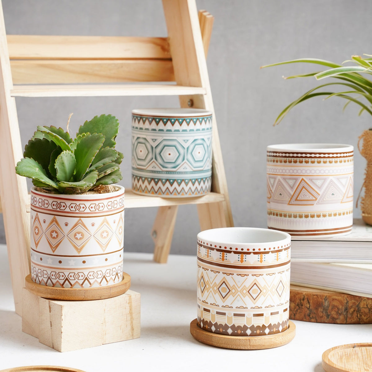 Bohemian Planter Nestasia