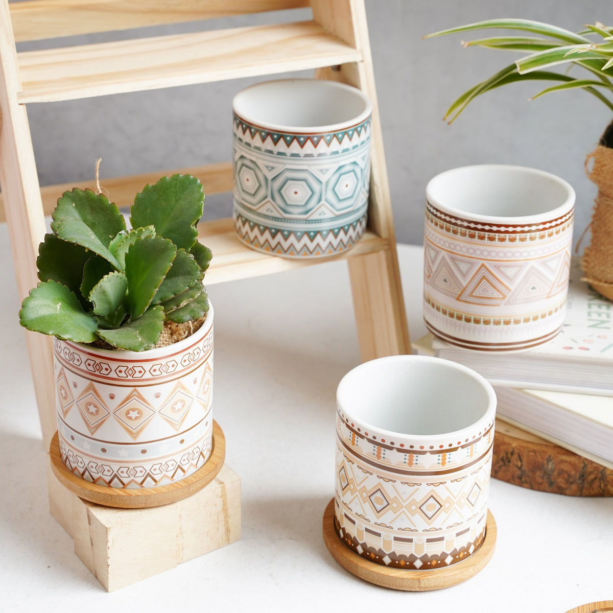 Bohemian Planter Nestasia