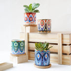 Boho Planter Nestasia