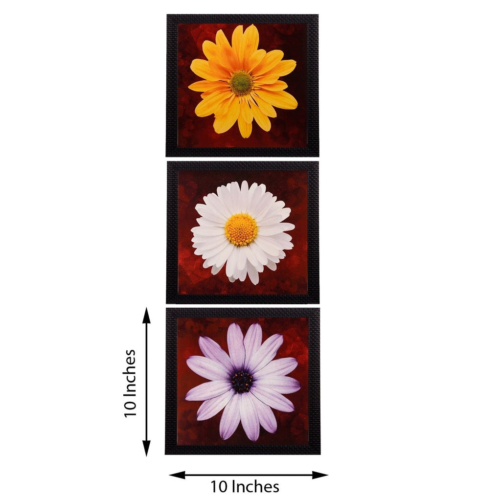Set of 3 Satin Matt Textured Art Painting Kafalo
