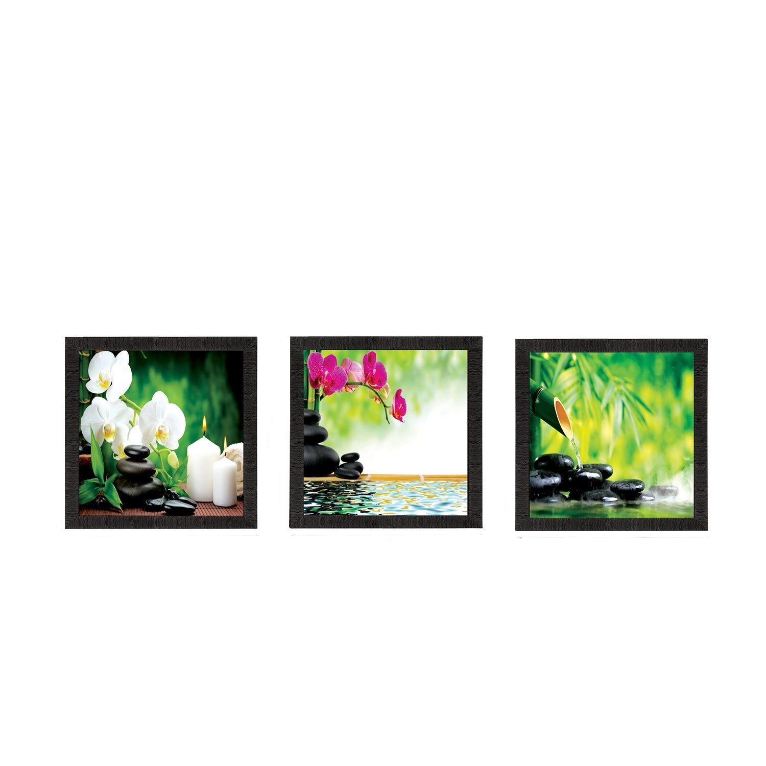 Set Of 3 Flora and Stones Satin Matt Texture UV Art Painting Kafalo