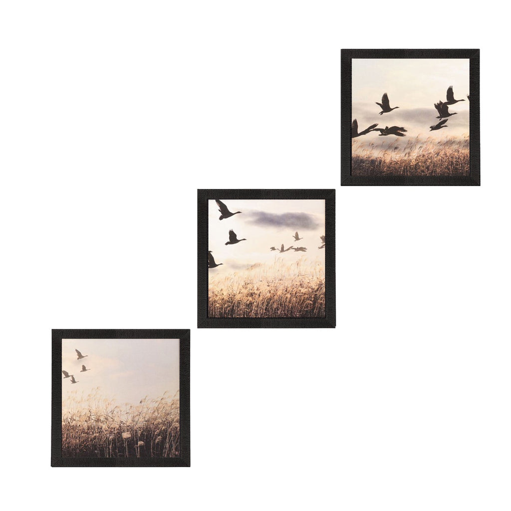 Set Of 3 Flying Birds Scenery Satin Matt Texture UV Art Painting Kafalo