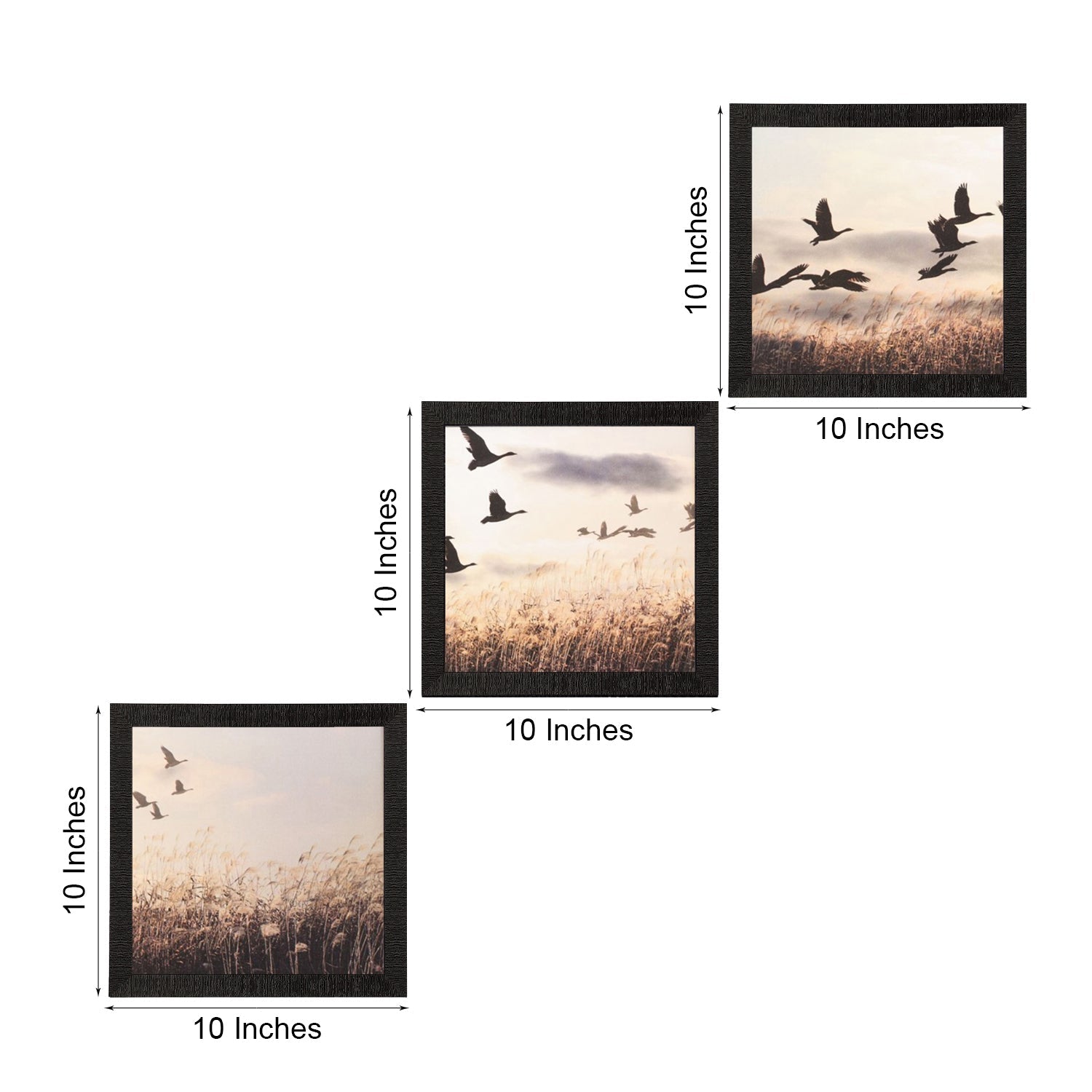 Set Of 3 Flying Birds Scenery Satin Matt Texture UV Art Painting Kafalo