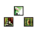 Set Of 3 Natural Beauty Shots Satin Matt Texture UV Art Painting Kafalo