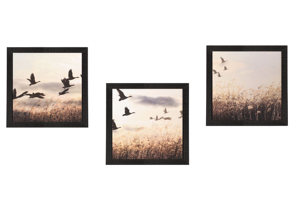 Set Of 3 Flying Birds Scenery Satin Matt Texture UV Art Painting Kafalo