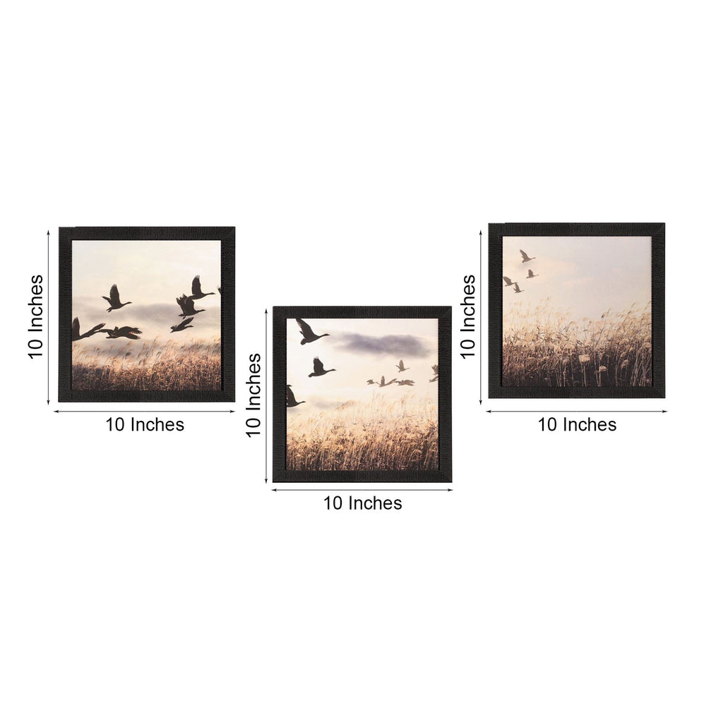 Set Of 3 Flying Birds Scenery Satin Matt Texture UV Art Painting Kafalo