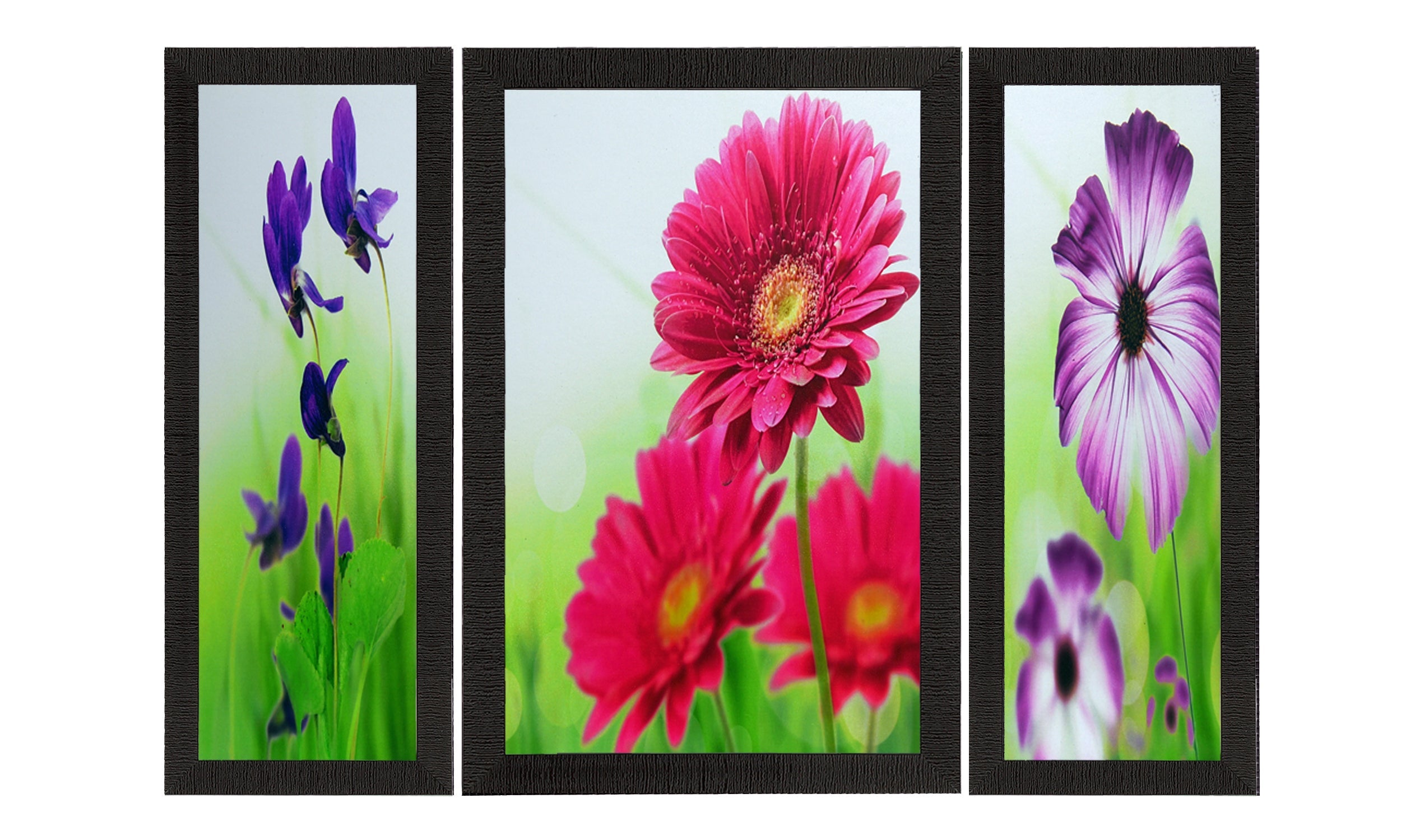 Set Of 3 Colorful Botanical Floral Satin Matt Texture UV Art Painting Kafalo