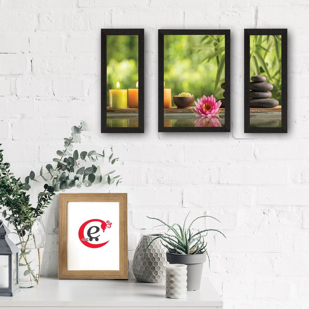 Set of 3 Floral Theme Satin Matt Texture UV Art Painting Kafalo
