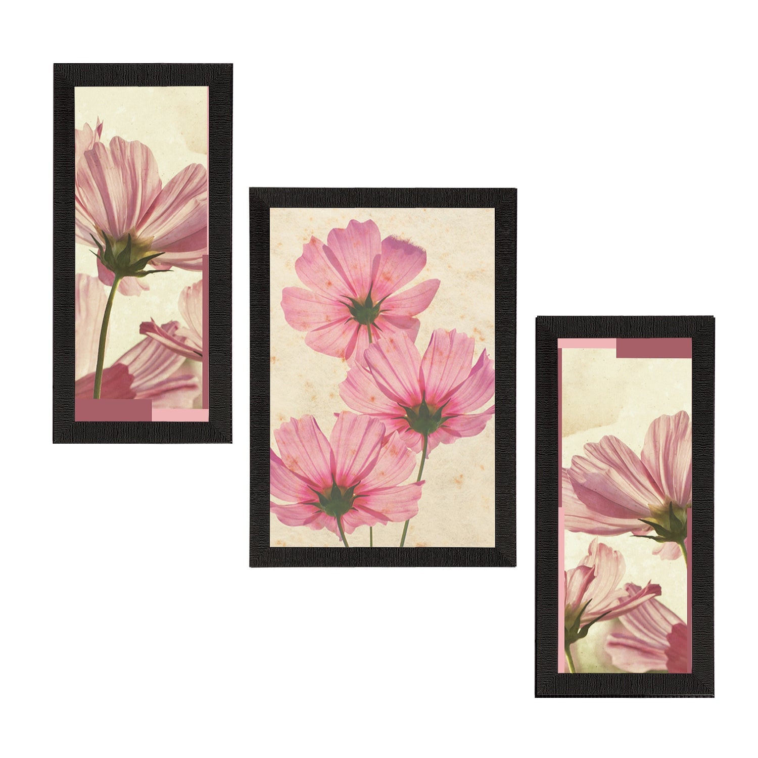Set of 3 Botanical and Floral Satin Matt Textured UV Art Painting Kafalo