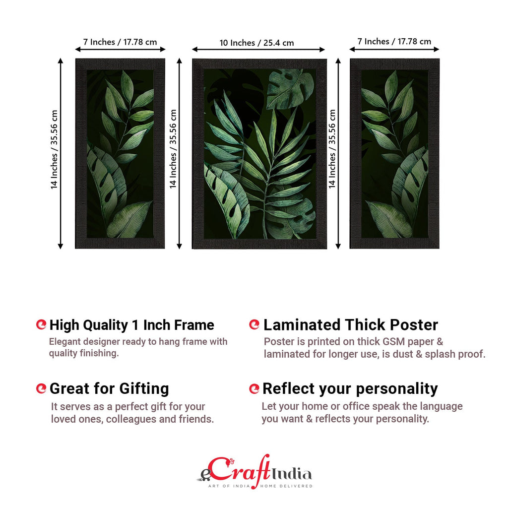 Set of 3 Botanical and Floral Satin Matt Textured UV Art Painting Kafalo