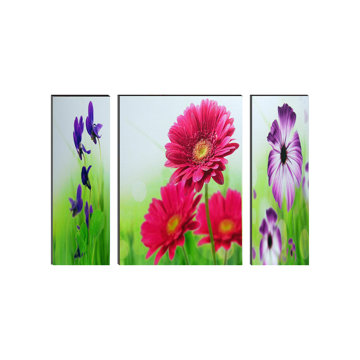 6MM MDF Set of 3 Botanical Floral Satin Matt Texture UV Art Painting Kafalo
