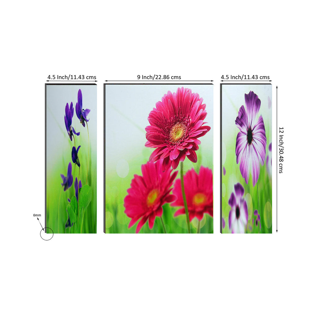 6MM MDF Set of 3 Botanical Floral Satin Matt Texture UV Art Painting Kafalo