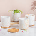 Earthy Elegance Planter Pot With Coaster Set Of 4 Nestasia