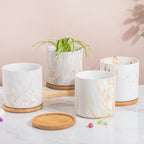 Carrara Brown Streak White Ceramic Planter With Wooden Coaster Nestasia