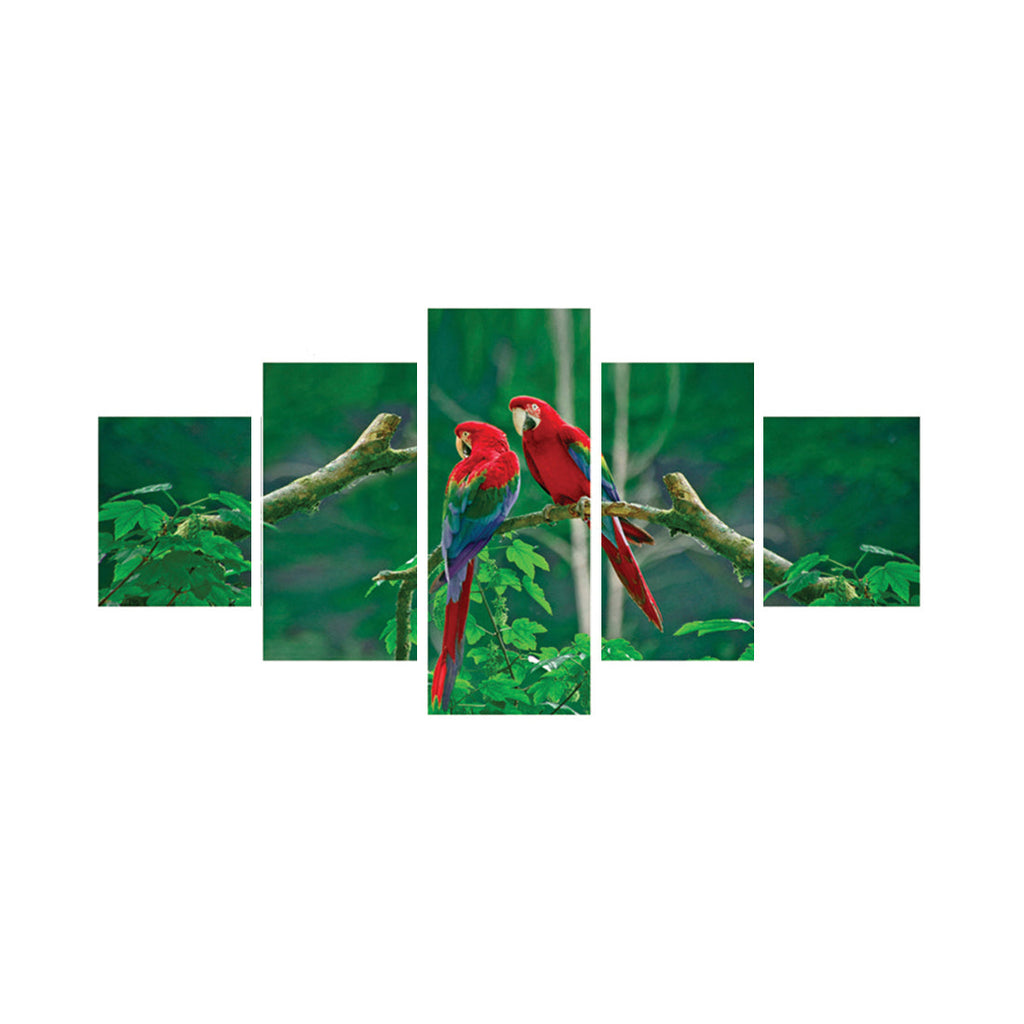 Set of 5 Parrots Pair Premium Canvas Painting Kafalo