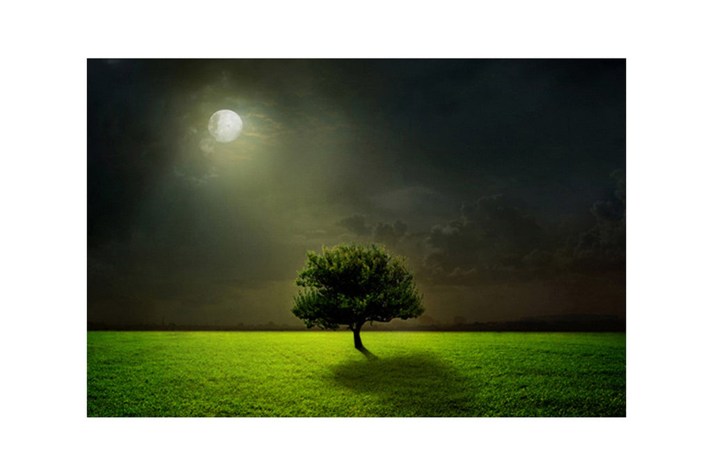 Beautiful Tree in Moon Light Design Self Adhesive Sparkle Coated Painting without frame Kafalo