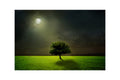 Beautiful Tree in Moon Light Design Self Adhesive Sparkle Coated Painting without frame Kafalo