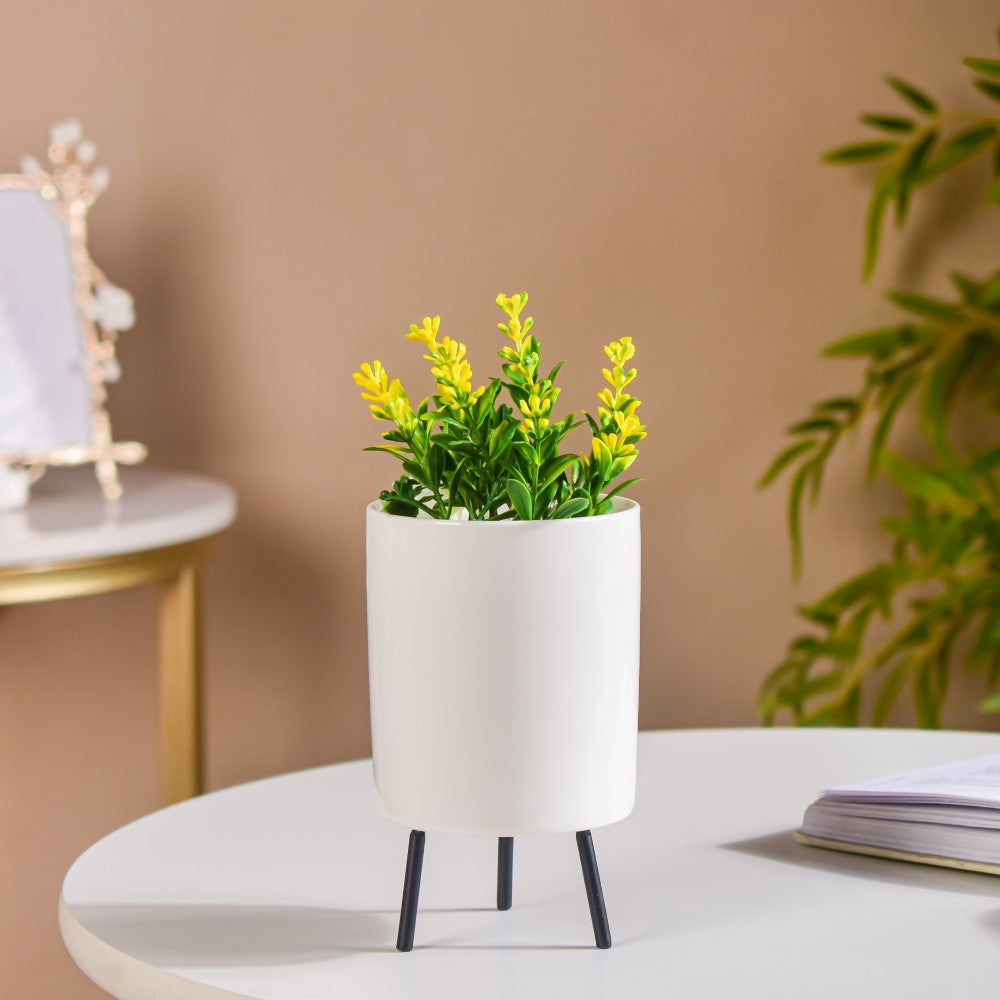 White Porcelain Table Planter Nestasia