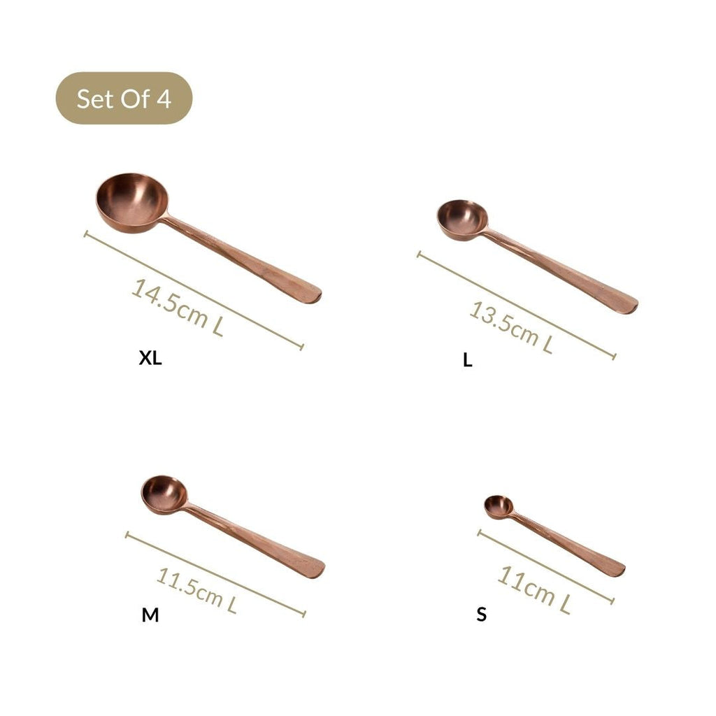 Rustic Cafecore Bronze Measuring Spoon Set Of 4 Nestasia