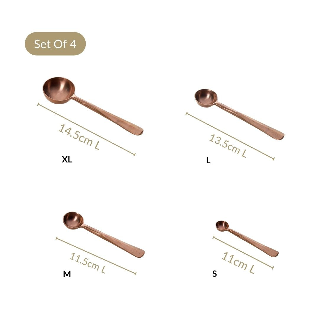 Rustic Cafecore Bronze Measuring Spoon Set Of 4 Nestasia