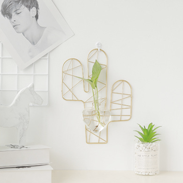 Cactus Hanging Plant Nestasia