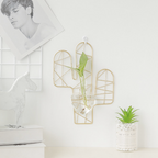 Cactus Hanging Plant Nestasia