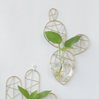 Cactus Planter Nestasia