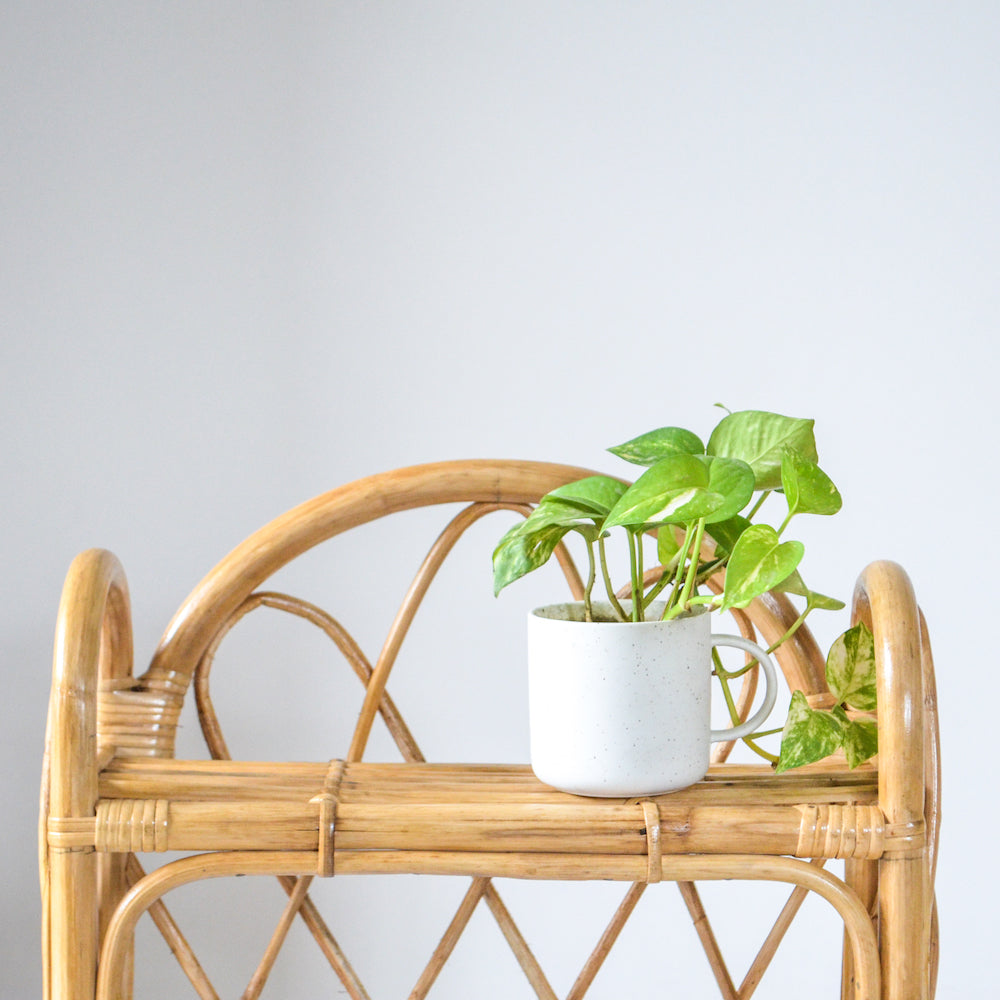 Cane Table Shelf Nestasia