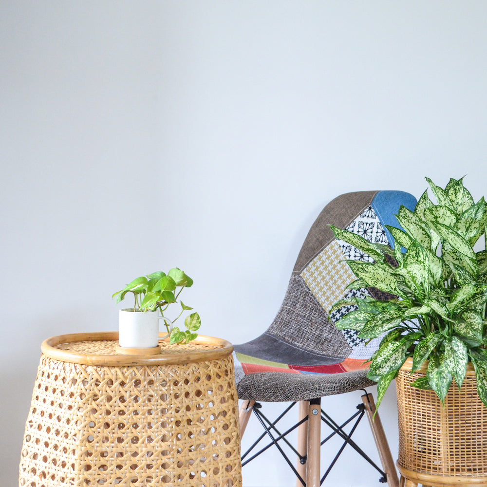 Cane Stool Table Nestasia