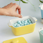 Ceramic Pastel Bowl- Rectangle Nestasia