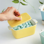 Ceramic Pastel Bowl- Rectangle Nestasia