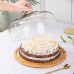 Cloche plate Nestasia