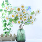 Colourful Sunflower Nestasia